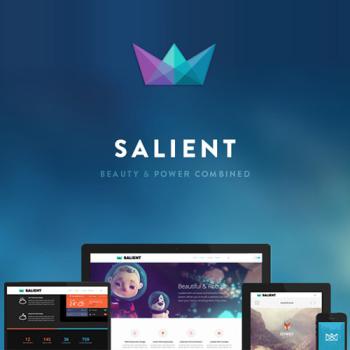 Salient-Responsive-Multi-Purpose-Theme0