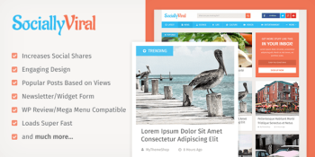 SociallyViral-590x295