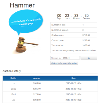 hikaauction-datas3