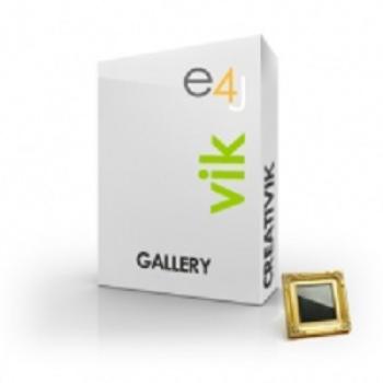 vik-gallery